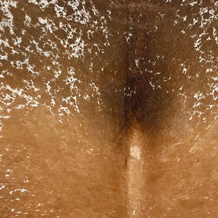 Closeup of this Large Speckled Brazilian Cowhide, showing golden brown with white speckles and spots, and white with chocolate speckles and spots on the shoulder  (BRSP3372)