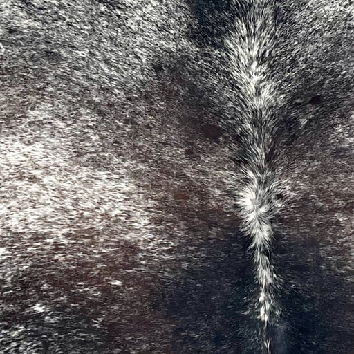 Closeup of this XL Tricolor Speckled Brazilian Cowhide, showing white with black and dark brown speckles and spots  (BRSP3373)