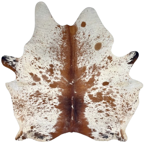 Ivory and Reddish Brown Speckled Brazilian Cowhide: Ivory with reddish brown spots and speckles, and a touch of black on the butt and shanks - 7'4" x 5'11" (BRSP3374)