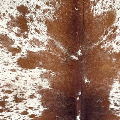 Closeup of this Speckled Brazilian Cowhide, showing Ivory with reddish brown spots and speckles (BRSP3374)