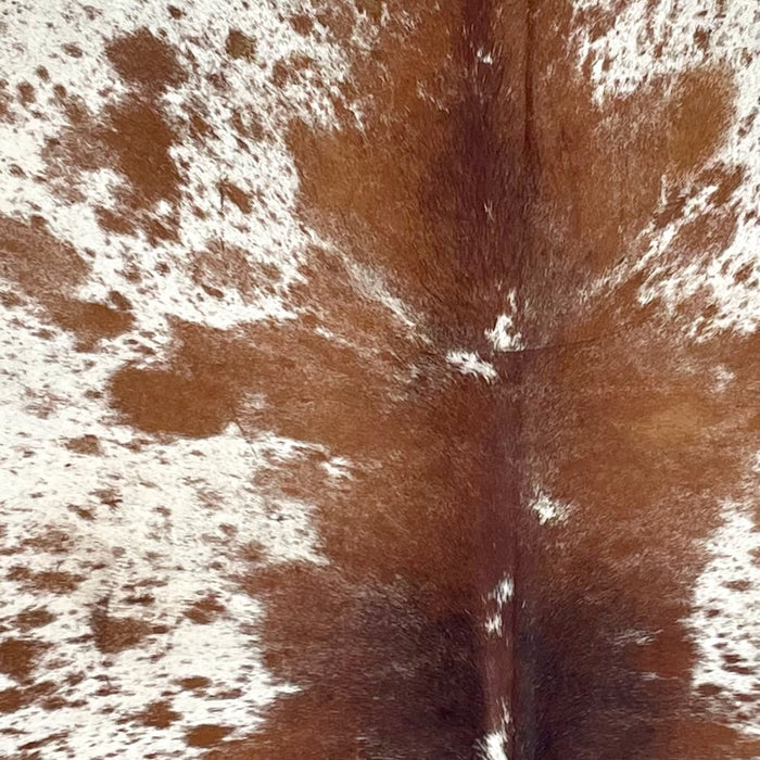 Closeup of this Speckled Brazilian Cowhide, showing Ivory with reddish brown spots and speckles (BRSP3374)
