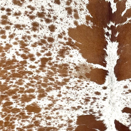 CLoseup of this Speckled Brazilian Cowhide, showing white with reddish brown spots and speckles (BRSP3375)