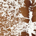 CLoseup of this Speckled Brazilian Cowhide, showing white with reddish brown spots and speckles (BRSP3375)
