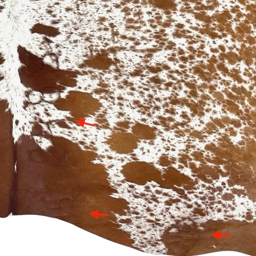 Closeup of this reddish brown and white Speckled Brazilian Cowhide, showing  2 brand marks on the right side of the butt and one along the right side of the spine - 7'3" x 5'8" (BRSP3375)