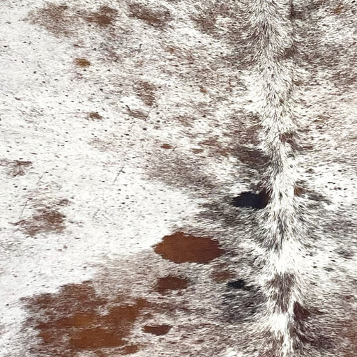 Closeup of this Tricolor Speckled Brazilian Cowhide, showing white with reddish brown, blackish brown , and black speckles and spots (BRSP3377)