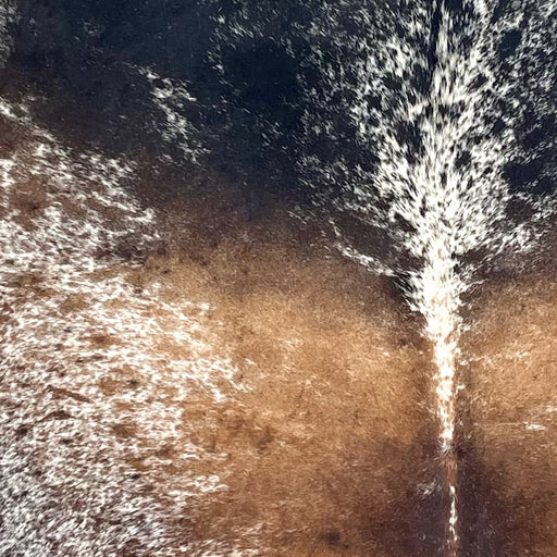 Closeup of this Large Tricolor Speckled Brazilian Cowhide, showing white with black and brown speckles and spots  (BRSP3378)