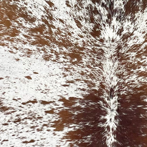 Closeup of this Large Speckled Brazilian Cowhide, showing white with brown speckles and spots (BRSP3379)