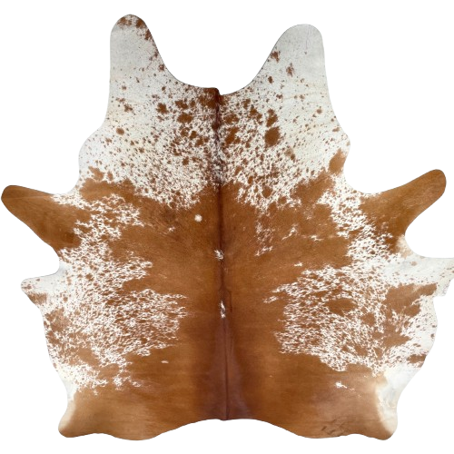 Large Brown and White Speckled Brazilian Cowhide: mostly solid brown down the middle and on the butt and shanks, white with brown speckles and spots on the sides, belly, and shoulder, and one brand mark on the right side of the butt - 7'11" x 6'7" (BRSP3380)