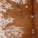Closeup of this Large Speckled Brazilian Cowhide, showing mostly solid brown down the middle, and white with brown speckles and spots on the sides and belly (BRSP3380)