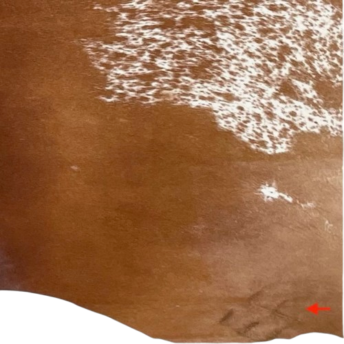 Closeup of this Large Brown and White Speckled Brazilian Cowhide, showing one brand mark on the right side of the butt  (BRSP3380)