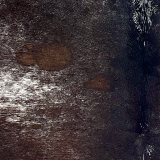 Closeup of this Dark Tricolor Speckled Brazilian Cowhide, showing a mix of dark brown and black with white speckles, and white with dark brown and black speckles and spots on the sides (BRSP3382)