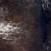 Closeup of this Dark Tricolor Speckled Brazilian Cowhide, showing a mix of dark brown and black with white speckles, and white with dark brown and black speckles and spots on the sides (BRSP3382)