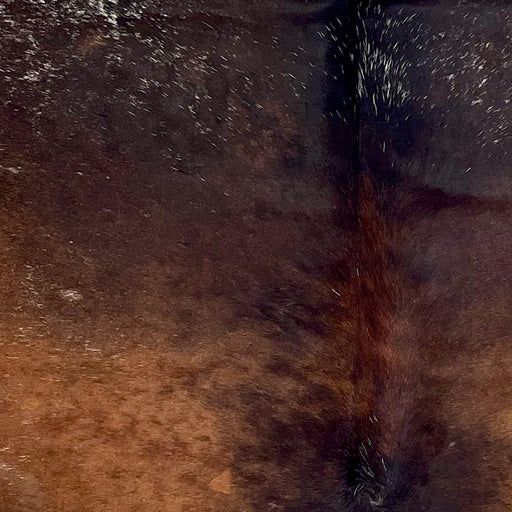 Closeup of this Tricolor Speckled Brazilian Cowhide, showing a mix of reddish brown, dark brown, and black, with white speckles (BRSP3383)