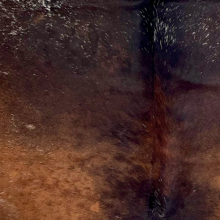 Closeup of this Tricolor Speckled Brazilian Cowhide, showing a mix of reddish brown, dark brown, and black, with white speckles (BRSP3383)