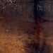Closeup of this Tricolor Speckled Brazilian Cowhide, showing a mix of reddish brown, dark brown, and black, with white speckles (BRSP3383)