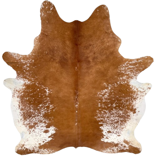 Large Reddish Brown and White Speckled Brazilian Cowhide: solid reddish brown down the middle, with a few white speckles on the spine, and white with reddish brown speckles and spots on the sides, belly, and shanks - 7'11" x 6'1" (BRSP3384)