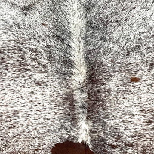 Closeup of this Large Tricolor Speckled Brazilian Cowhide, showing white with brown and black speckles and spots  (BRSP3385)