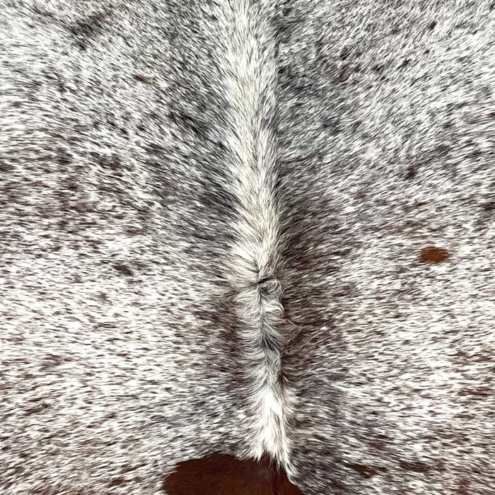 Closeup of this Large Tricolor Speckled Brazilian Cowhide, showing white with brown and black speckles and spots  (BRSP3385)
