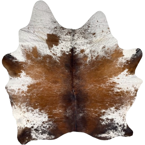 Tricolor Speckled Brazilian Cowhide: reddish brown, with black mixed in down the middle and on the butt and shanks, and white white with reddish brown and black speckles and psots on the belly, butt, shoulder and part of the shanks - 7'3" x 6' (BRSP3386)