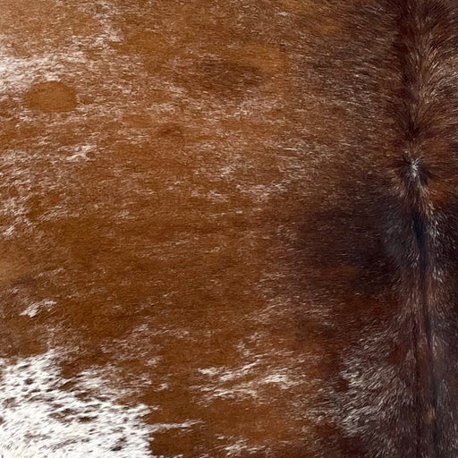 Closeup of this Tricolor Speckled Brazilian Cowhide, showing reddish brown, with black mixed in down the middle, and white white with reddish brown and black speckles on the belly (BRSP3386)