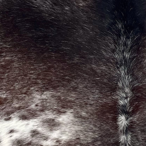Closeup of this Dark Tricolor Speckled Brazilian Cowhide, showing a mix of dark brown and black with white speckles and spots (BRSP3387)