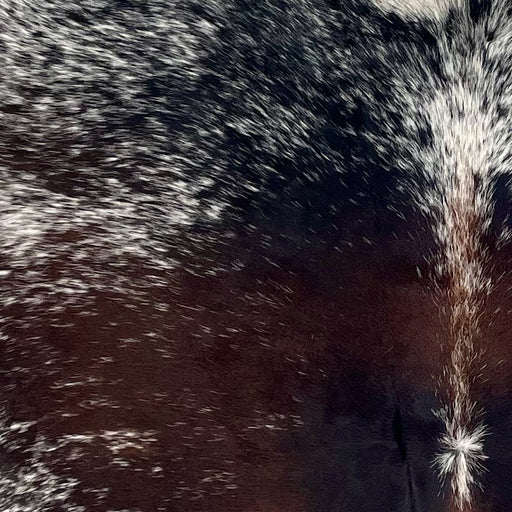Closeup of this extra-large Dark Tricolor Speckled Brazilian Cowhide, showing a mix of dark reddish brown and black on the back, white speckles down the spine, and white with black speckles and spots on the shoulder (BRSP3389)