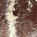 Closeup of this Speckled Brazilian Cowhide, showing off-white with brown speckles and spots (BRSP3392)