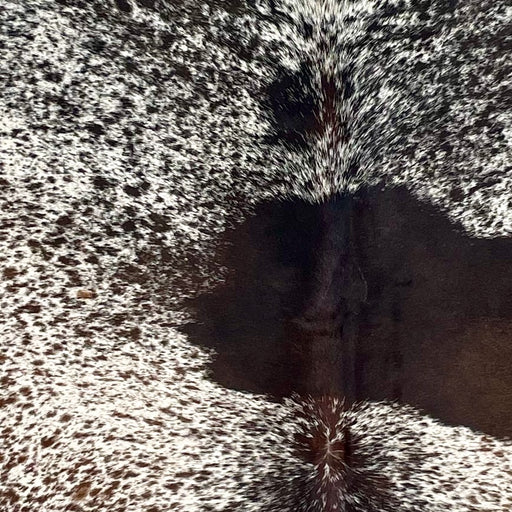 Closeup of this Large Tricolor Speckled Brazilian Cowhide, showing ivory with dark brown and black speckles and spots (BRSP3393)