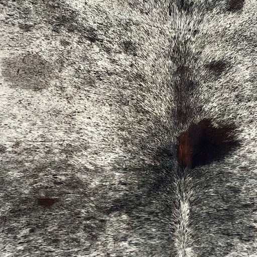 Closeup of this Large Speckled Brazilian Cowhide, showing off-white with black speckles and spots, and a few small, brown spots (BRSP3394)