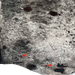 Closeup of this Large Black & Off-White Speckled Brazilian Cowhide, showing two brand marks on the right side of the butt (BRSP3394)