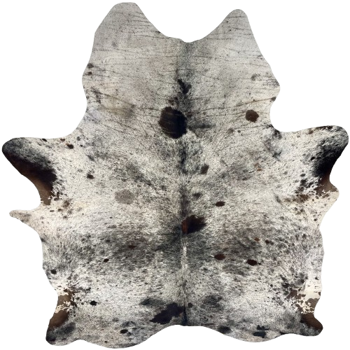 Large Black & Off-White Speckled Brazilian Cowhide: off-white with black speckles and spots, a few small, brown spots, and two brand marks on the right side of the butt - 7'9" x 5'11" (BRSP3394)