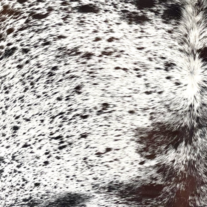 Closeup of this Tricolor Speckled Brazilian Cowhide, showing white with black, dark brown, and blackish brown speckles and spots (BRSP3395)