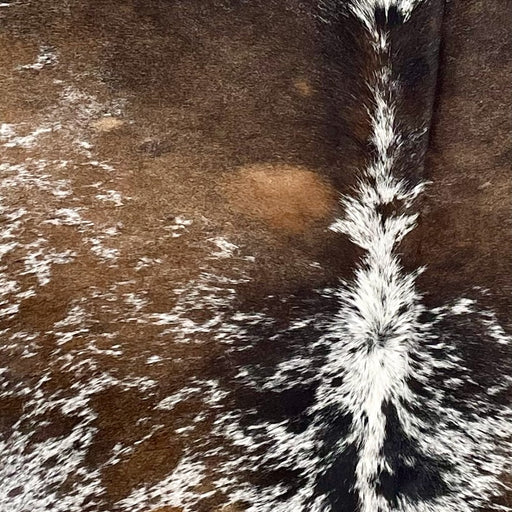 Closeup of this Tricolor Speckled Brazilian Cowhide, showing white with brown, black, and blackish brown spots and speckles (BRSP3396)