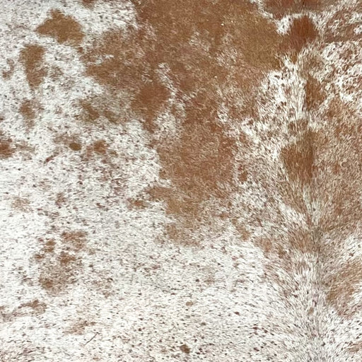 Closeup of this Speckled Brazilian Cowhide, showing white with brown speckles and spots (BRSP3398)