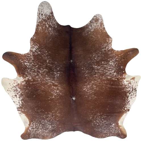 Large Dk Reddish Brown and White Speckled Brazilian Cowhide: dark reddish brown with white speckles, and white with dark reddish brown speckles on the belly - 7'6" x 6'1" (BRSP3399)