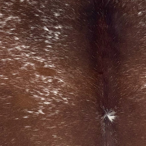 Closeup of this Large Speckled Brazilian Cowhide, showing dark reddish brown with white speckles (BRSP3399)