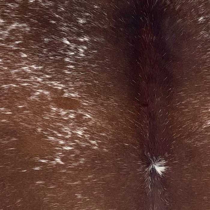 Closeup of this Large Speckled Brazilian Cowhide, showing dark reddish brown with white speckles (BRSP3399)