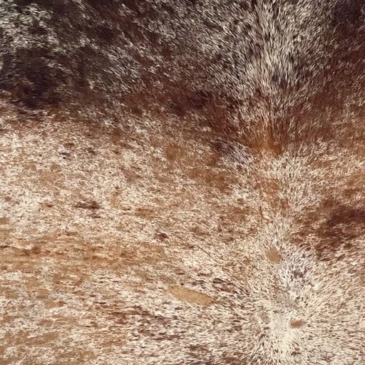 Closeup of this Brazilian Tricolor Speckled Cowhide, showing off-white with light reddish brown, caramel, and dark brown  speckles and spots (BRSP3400)