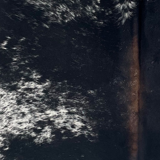 Closeup of this Speckled Brazilian Cowhide, showing white with black speckles and spots, mostly solid black on the back, and dark brown down part of the spine (BRSP3402)
