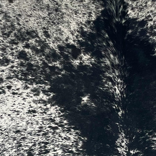 Closeup of this Large Black Speckled Brazilian Cowhide, showing white with black speckles and spots (BRSP3403)