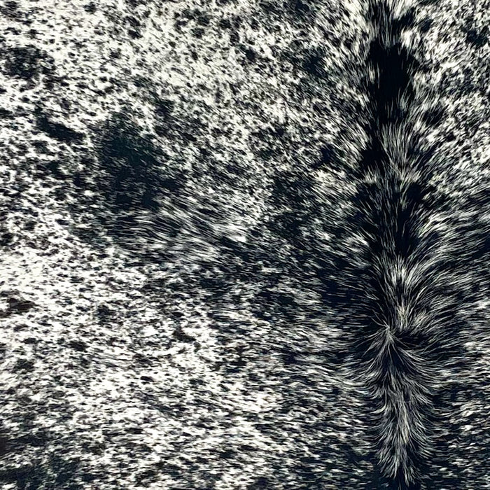 Closeup of this Speckled Brazilian Cowhide, showing white with black speckles and spots (BRSP3404)