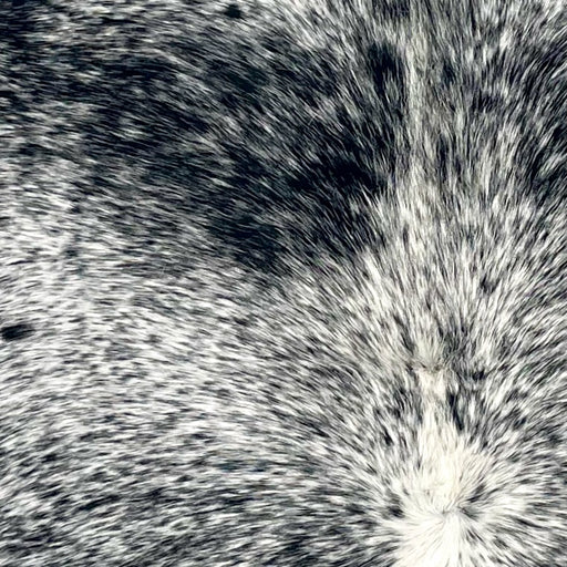 Closeup of this Large Speckled Brazilian Cowhide, showing white with black speckles and spots (BRSP3406)