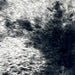Closeup of this Large Speckled Brazilian Cowhide, showing white with black speckles and spots (BRSP3409)