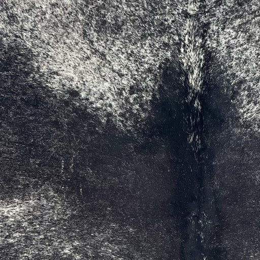 Closeup of this Speckled Brazilian Cowhide, showing black with white speckles, and spots that are white with black speckles (BRSP3410)