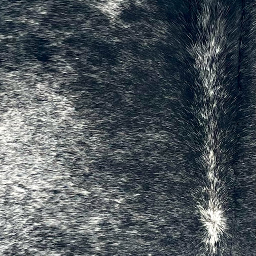 Closeup of this Large Speckled Brazilian Cowhide, showing white with black speckles and spots (BRSP3411)