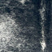 Closeup of this Large Speckled Brazilian Cowhide, showing white with black speckles and spots (BRSP3411)
