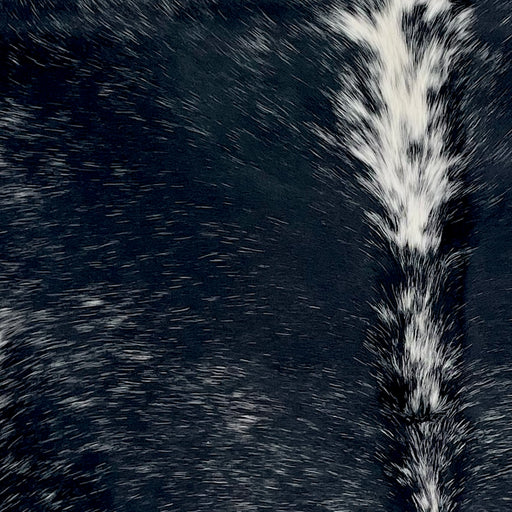 Closeup of this Speckled Brazilian Cowhide, showing black with white speckles and spots (BRSP3412)