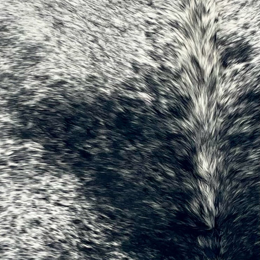 Closeup of this Large Black and White Speckled Brazilian Cowhide, showing white with black speckles and spots  (BRSP3413)
