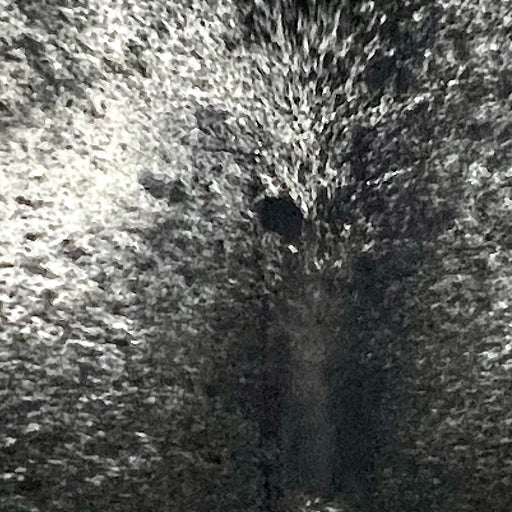 Closeup of this Large WhitSpeckled Brazilian Cowhide, showing white with black speckles and spots (BRSP3414)