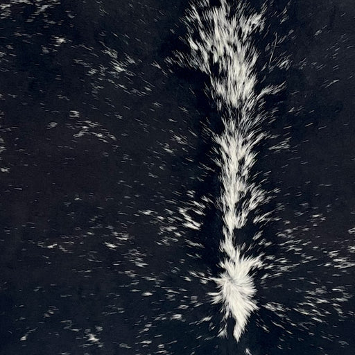 Closeup of this Speckled Brazilian Cowhide, showing black with white speckles and spots (BRSP3415)